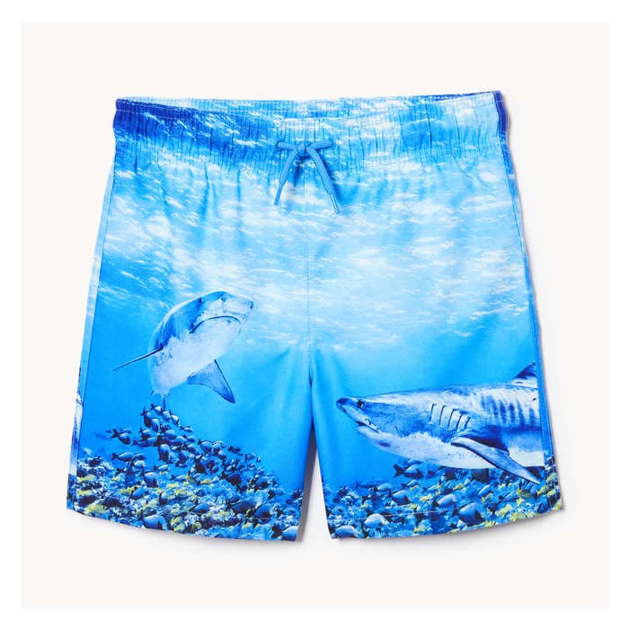 Kid Boys' Swim Trunk